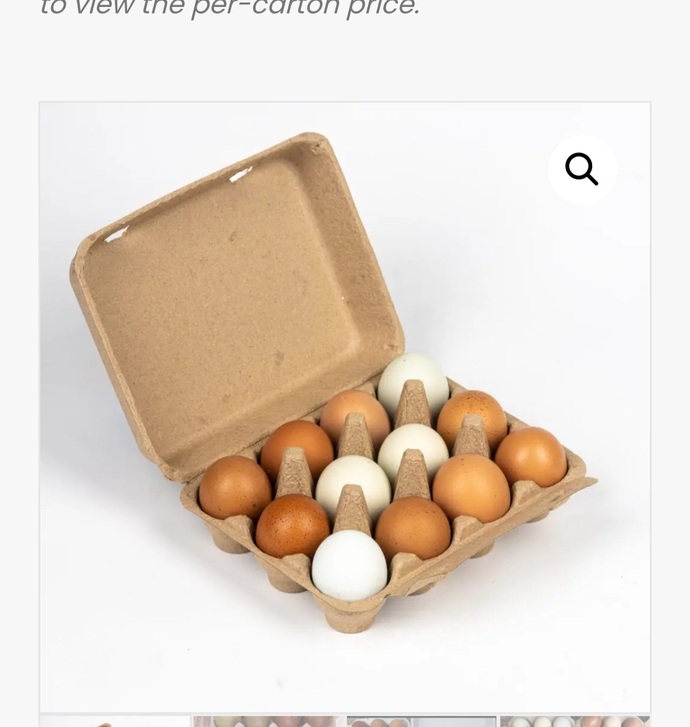 What egg carton do you like better ?