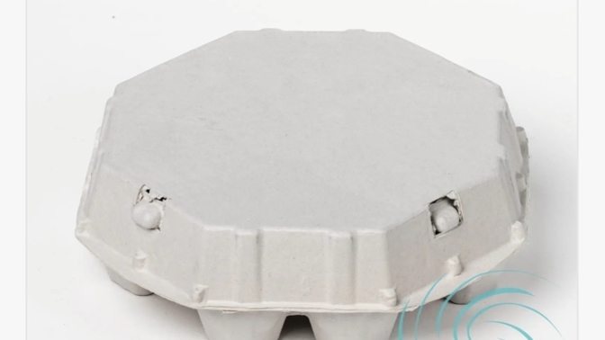 Which 12-egg carton shape fits best in your fridge?