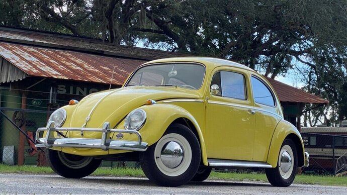 Is it annoying when someone freaks out over a bug?
