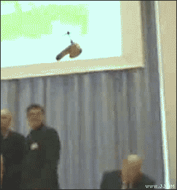 What is the most wild thing you've seen fly in court with no objection?