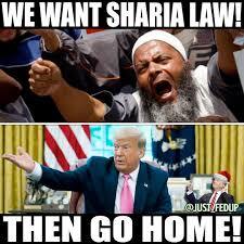 Why do some Western leftist women support Sharia law despite its sexism?