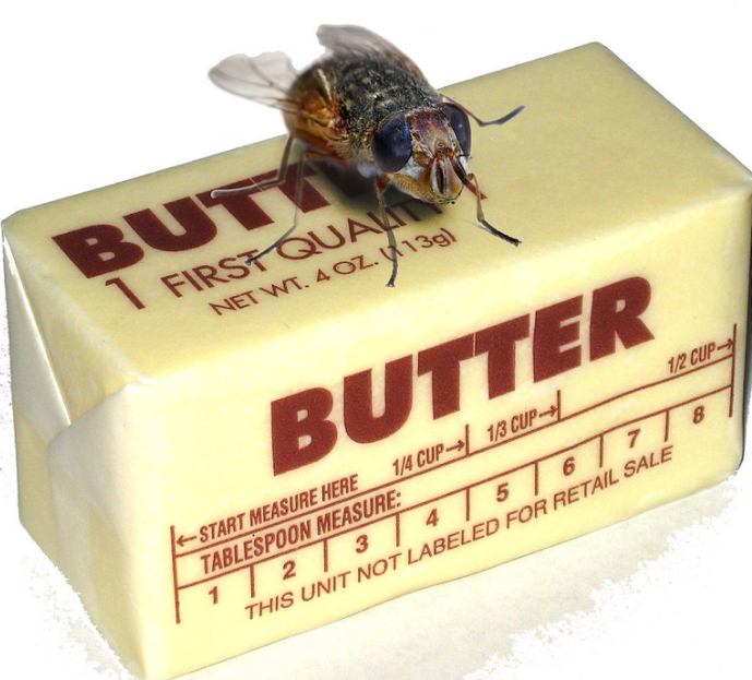 For a non native English speaker, what do you imagine when you hear the word butterfly?