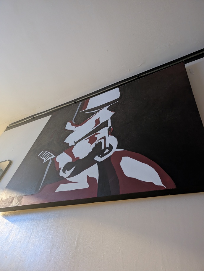 What do you think of these Star Wars paintings my sister made?