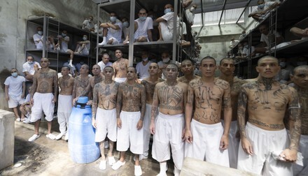 I get the argument for illegals coming for work, but how can the left welcome in gangs with open arms? Why do we need them?