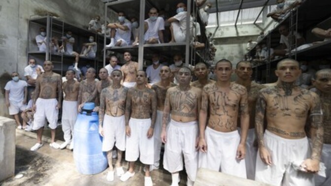 I get the argument for illegals coming for work, but how can the left welcome in gangs with open arms? Why do we need them?