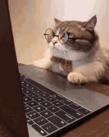 What browser add-ons are you using?
