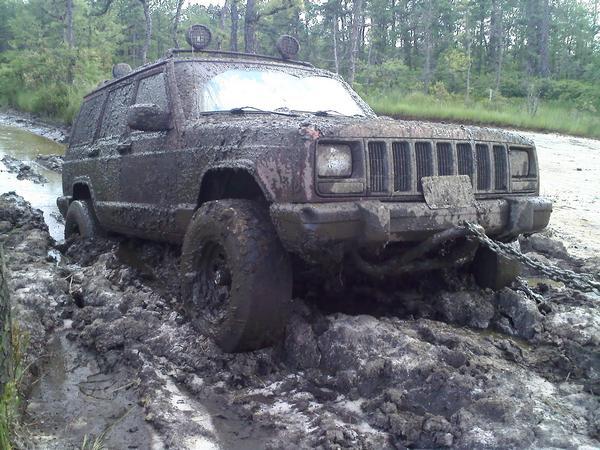 Do you own a car? If so, what is its make and model?