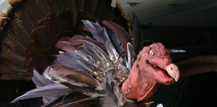 Have you ever had a terrifying standoff with an aggressive goose?