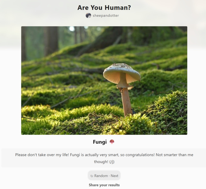Are You Human? (This question was too short so I added this part)?