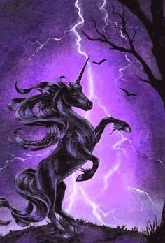 Are unicorns beautiful?