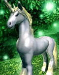 Are unicorns beautiful?