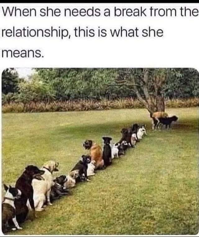 Why so many single mothers?