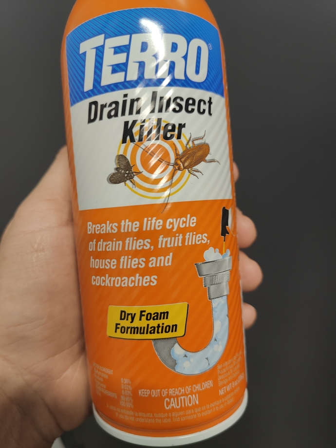 How do I permanently get rid of stubborn fruit flies at home?