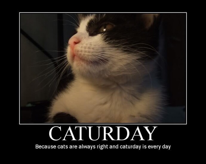 What is your favorite day of the week and why?