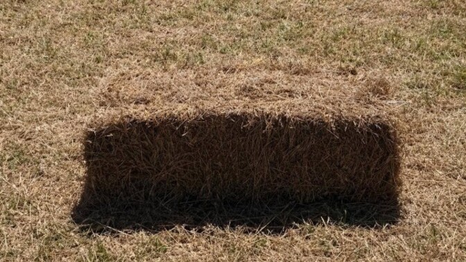 Bale of hay or hole?