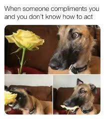 How would you feel if you got flowers for someone and their response to receiving them was just ok?