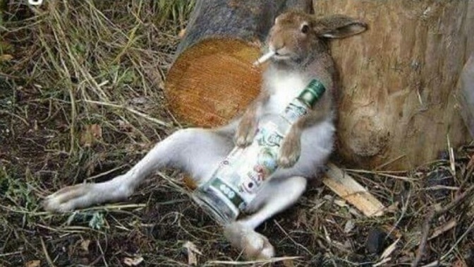 Who else is excited for Easter?