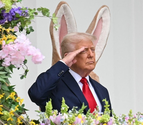 Would President Easter Bunny be an improvement over Trump?