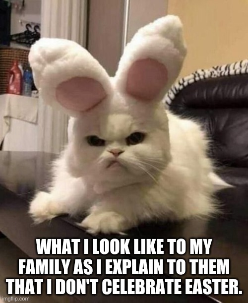 Did you get an Easter Basket?