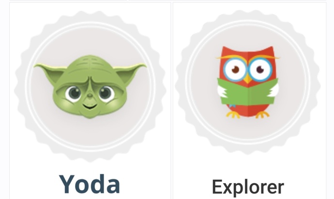We All Have Been Given A Badge On GAGs Some Are More Obvious What Theyre Trying To Convey Than Others. Do You Know What The Badges Signify?