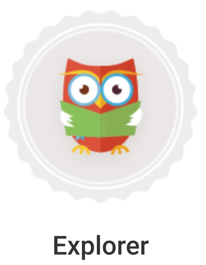 We All Have Been Given A Badge On GAGs Some Are More Obvious What Theyre Trying To Convey Than Others. Do You Know What The Badges Signify?