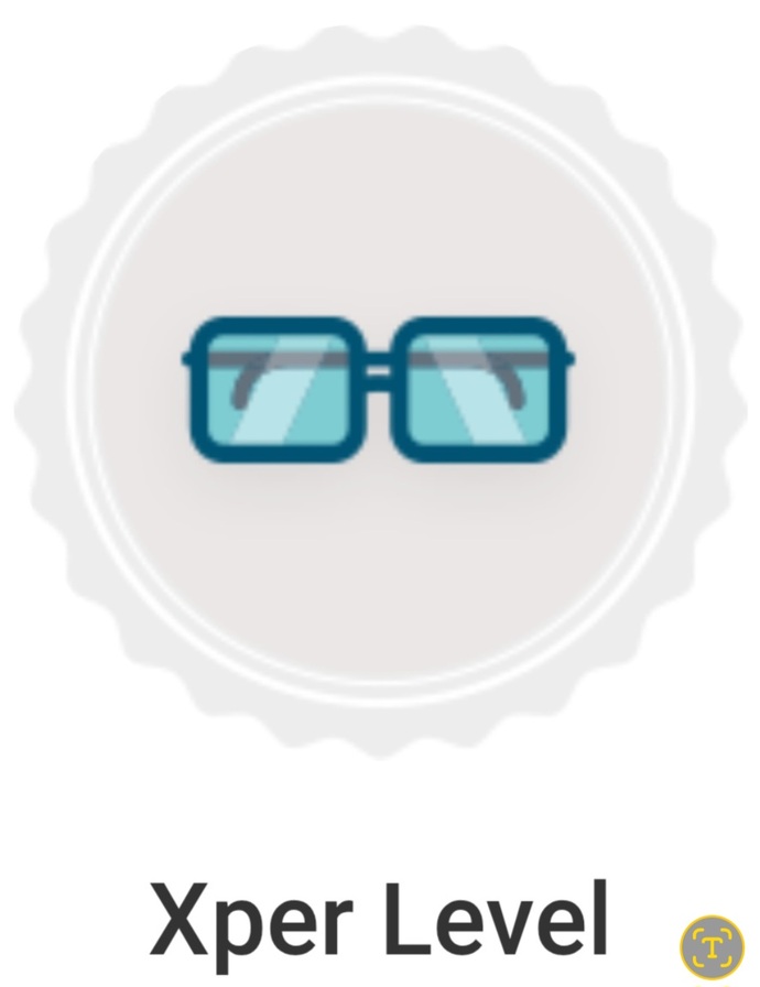 We All Have Been Given A Badge On GAGs Some Are More Obvious What Theyre Trying To Convey Than Others. Do You Know What The Badges Signify?
