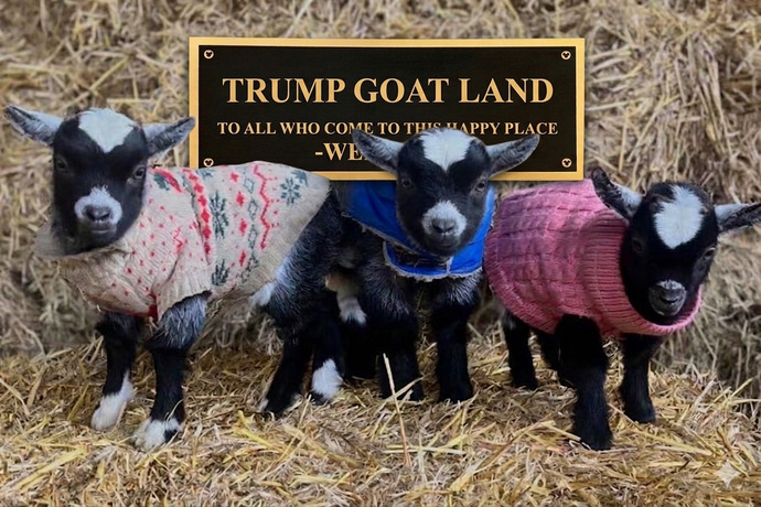 Are you planning to be at “Trump World Tehran” for the grand opening in 2029?
