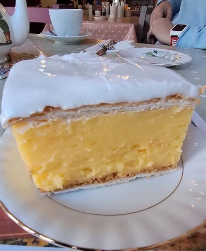Custard slice, nice or nasty?