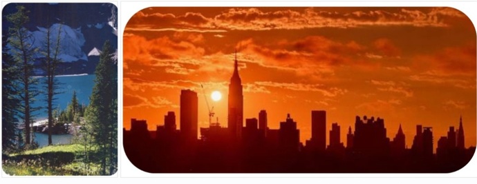 What Kind Of Person Are You A Country Person Or City Person Or Both?