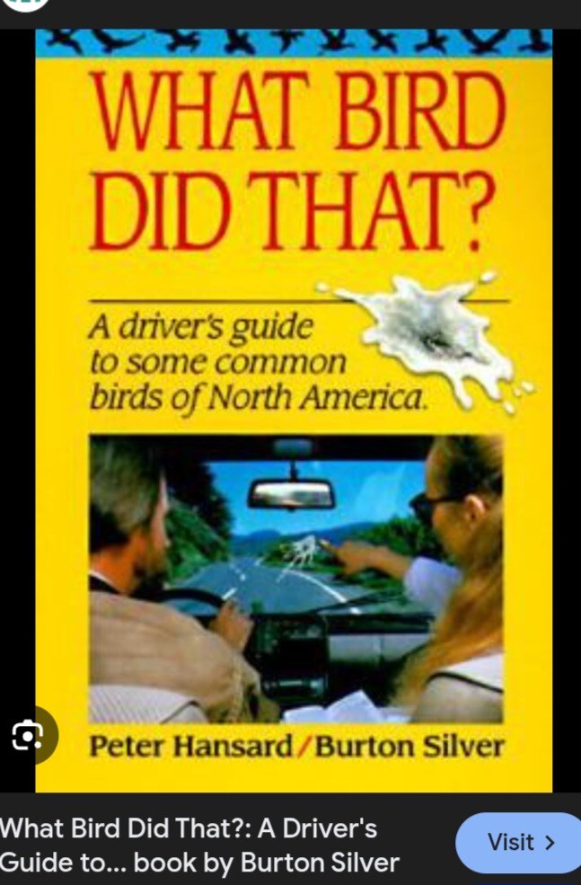 Has a bird ever delivered a message on your windshield?