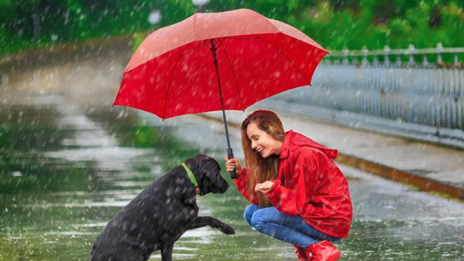 When it starts raining, what is the very first thing you think about?