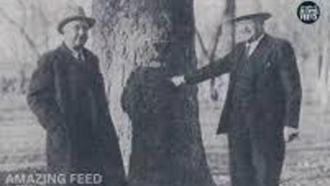 Ever heard the tale of Henry Ziegland?