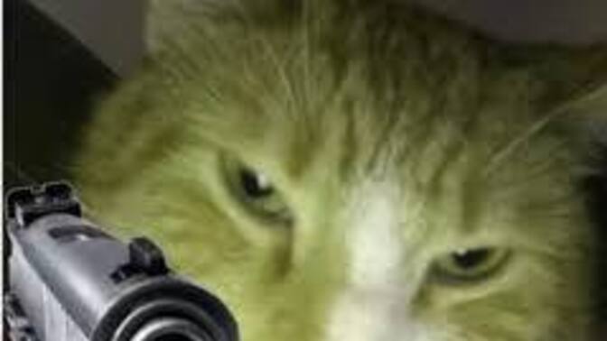 What animal would a short-tempered person most likely turn into?
