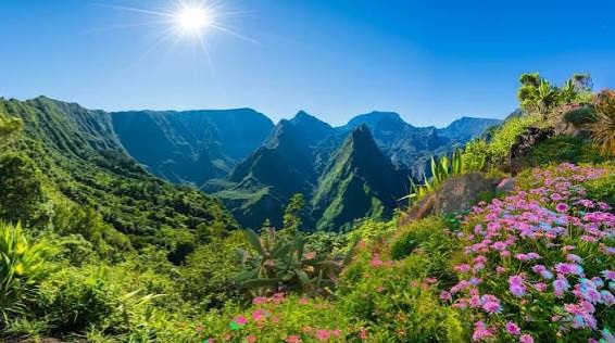 If you could travel anywhere in the world for free, where would you go?