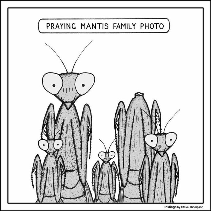 Do you think mantises are scary?
