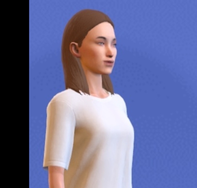 Choose NPC characters looks and hair color etc.