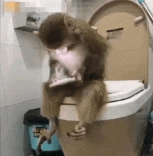 Have you ever been on the phone while going to the bathroom before?
