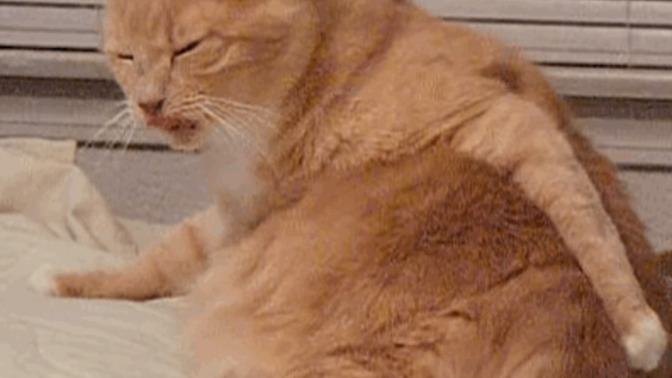 Where's the most annoying place on your body to have an itch?