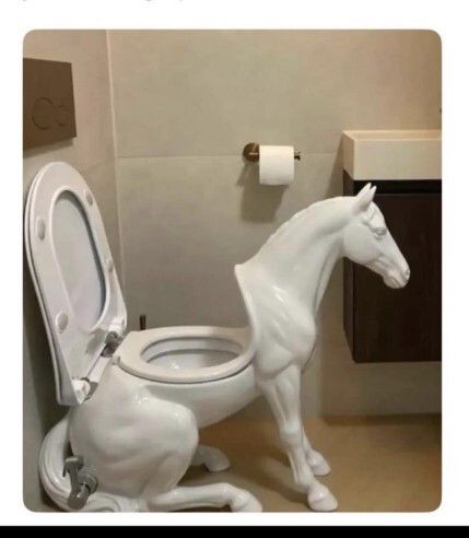 What annoys you the most about this toilet?
