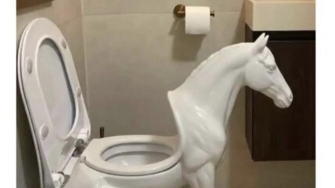 What annoys you the most about this toilet?