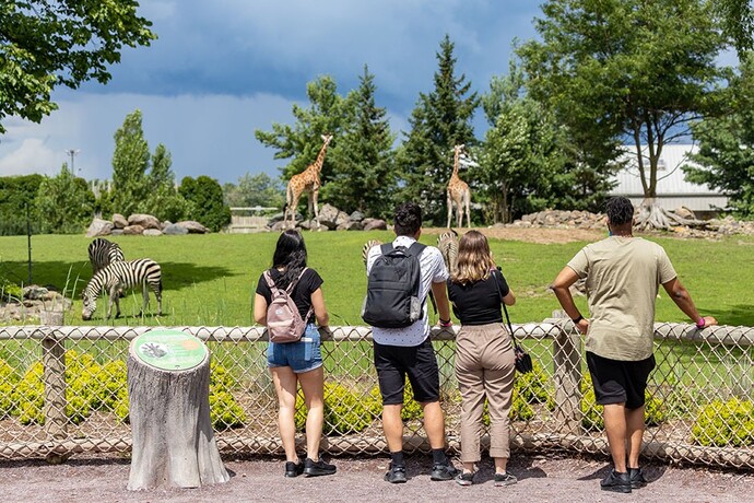 When was the last time you visited a Zoo? And what was your favorite animal to see there?