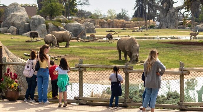 When was the last time you visited a Zoo? And what was your favorite animal to see there?