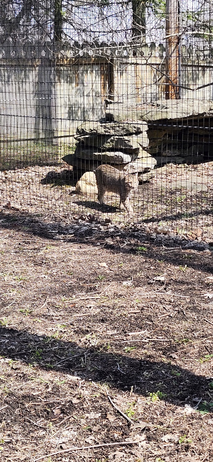 When was the last time you visited a Zoo? And what was your favorite animal to see there?