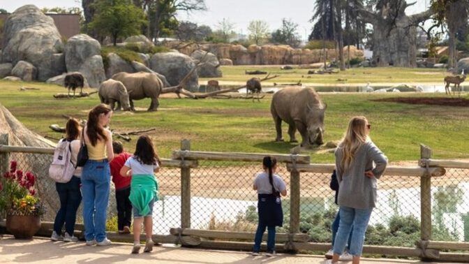 When was the last time you visited a Zoo? And what was your favorite animal to see there?