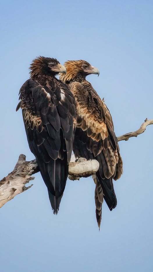 Are you more a solitary animal or a social animal?