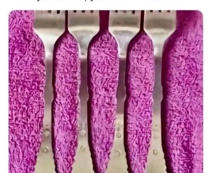 What do you see in the photo?