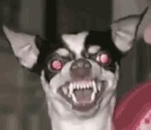 People here with Dogs, do yours bark at delivery people?