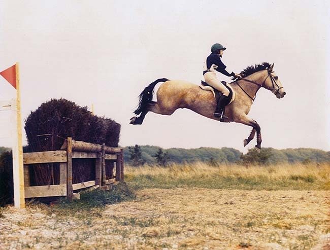 How beautiful are Connemara ponies compared with other horse breeds?