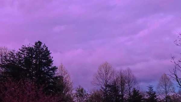 shades and tones of purple...