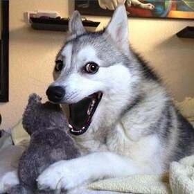 Would you consider yourself a sarcastic person?